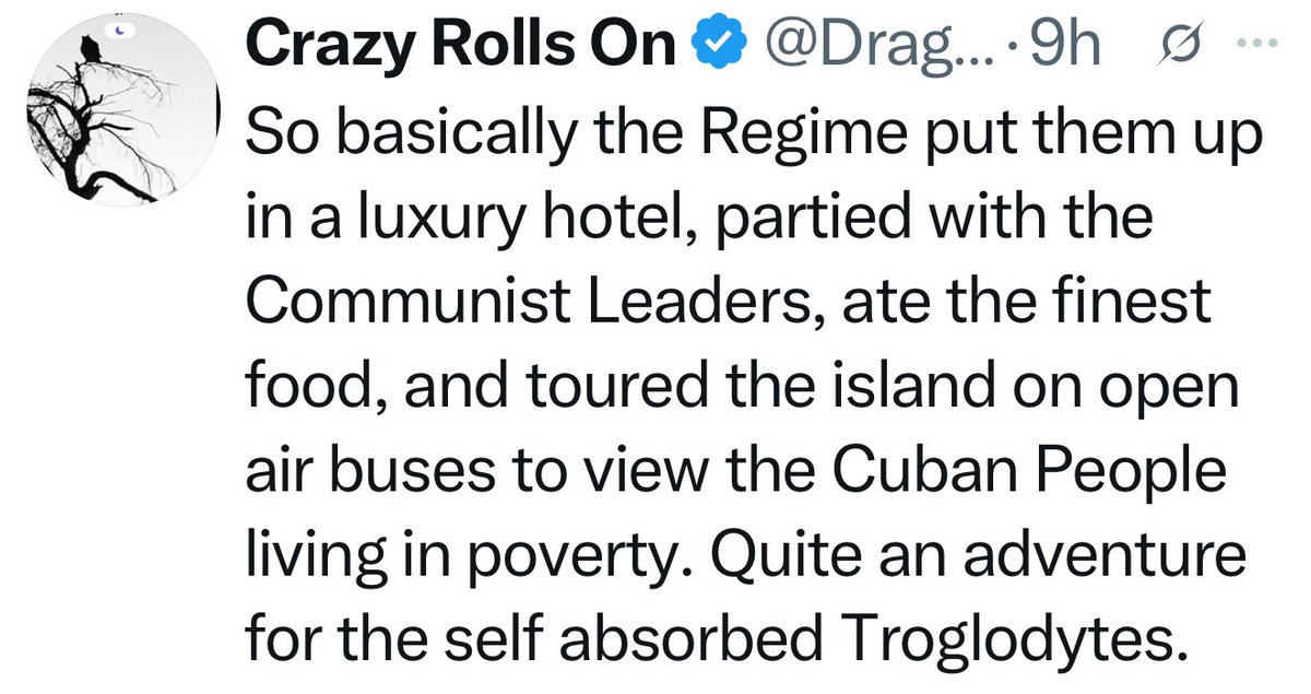 Raven Harrison for Congress tweet media