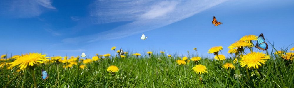 VNET Education CIC tweet media