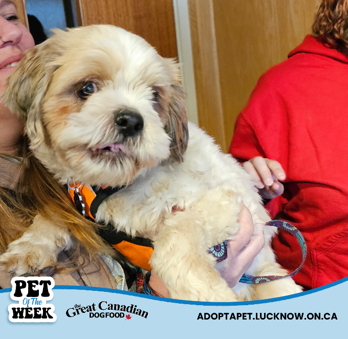 101.7 The One tweet media