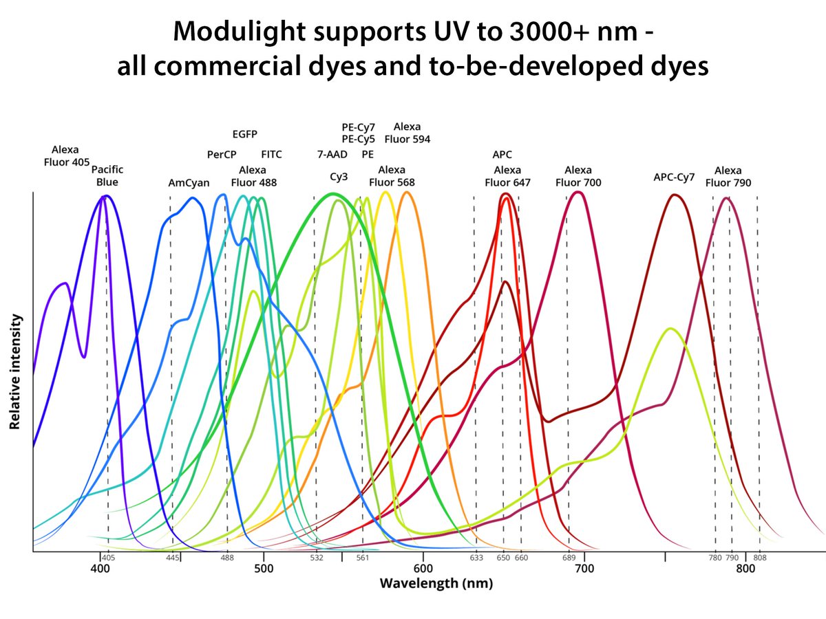 Modulight® Corporation tweet media
