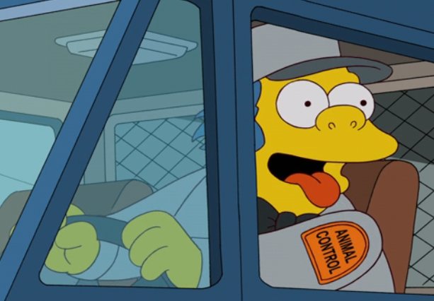 scrunchy/truffles💛🍩 tweet media