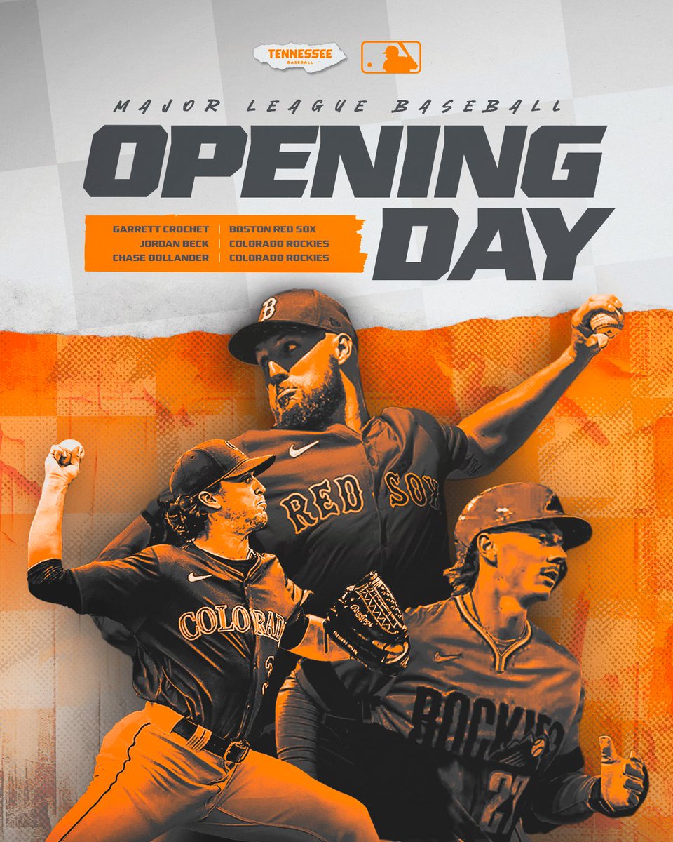 Tennessee Baseball tweet media