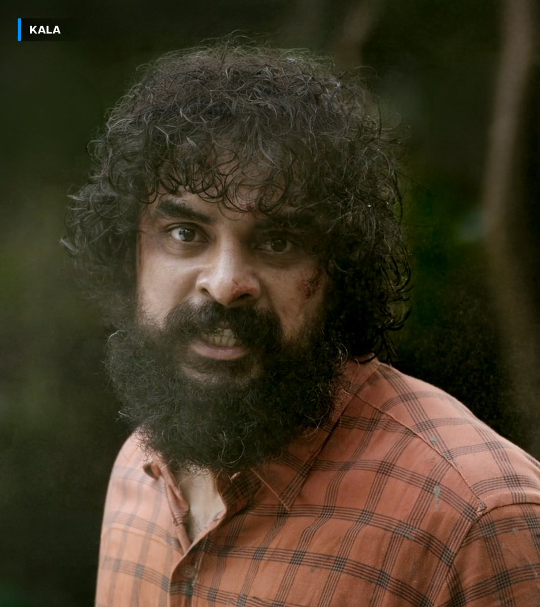 prime video IN tweet media