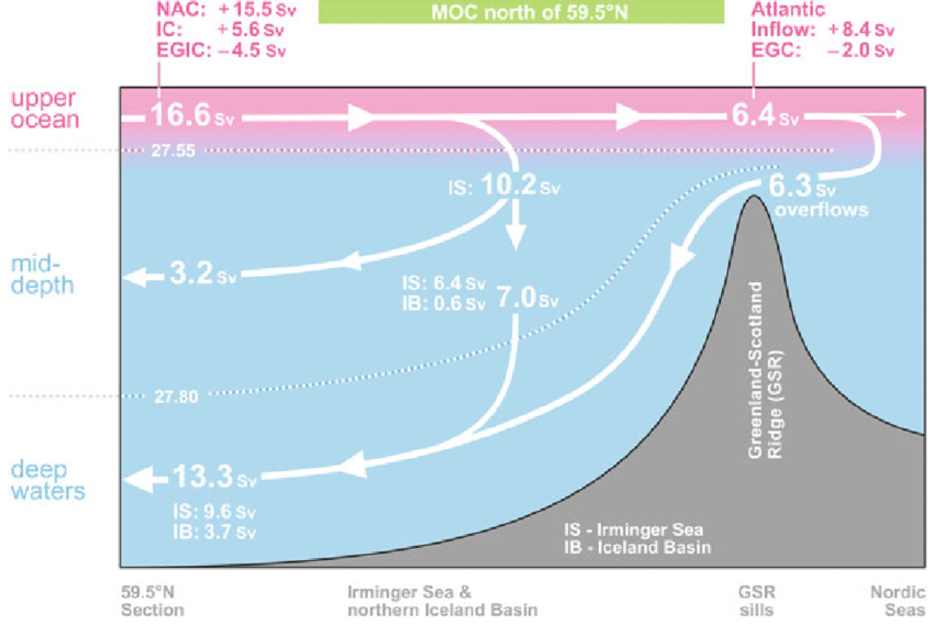 Sebastian Tyszuk tweet media