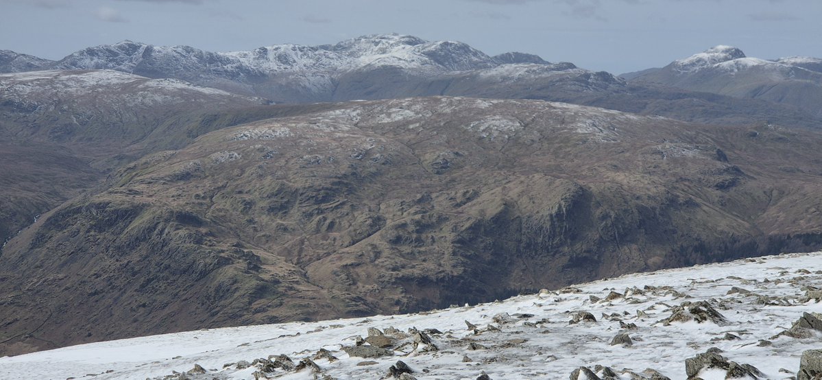 Fell Top Assessors tweet media