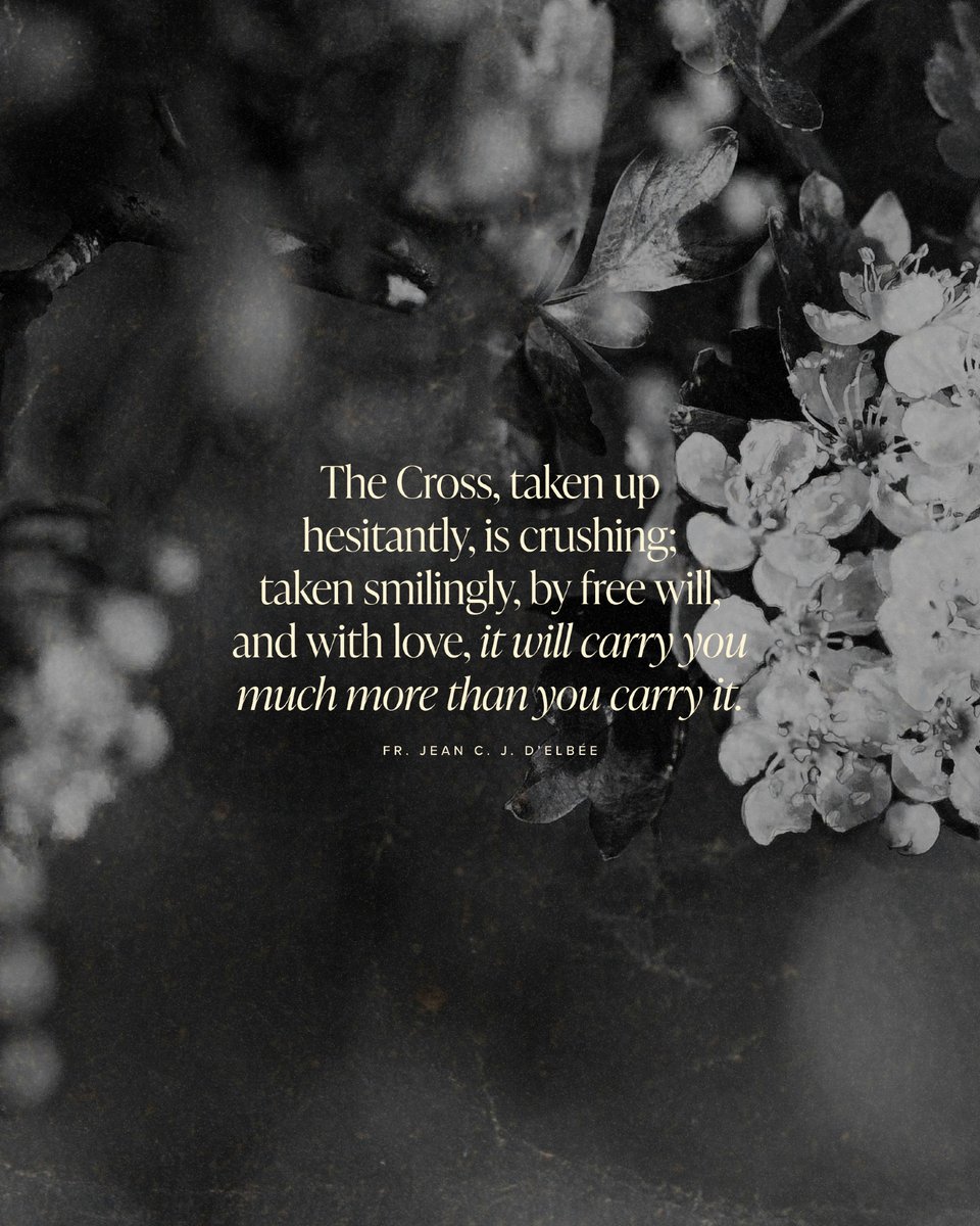 Bishop Robert Barron tweet media