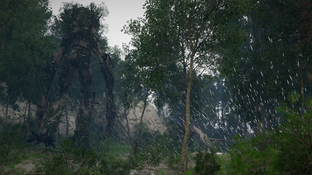 Faisal Frame tweet media