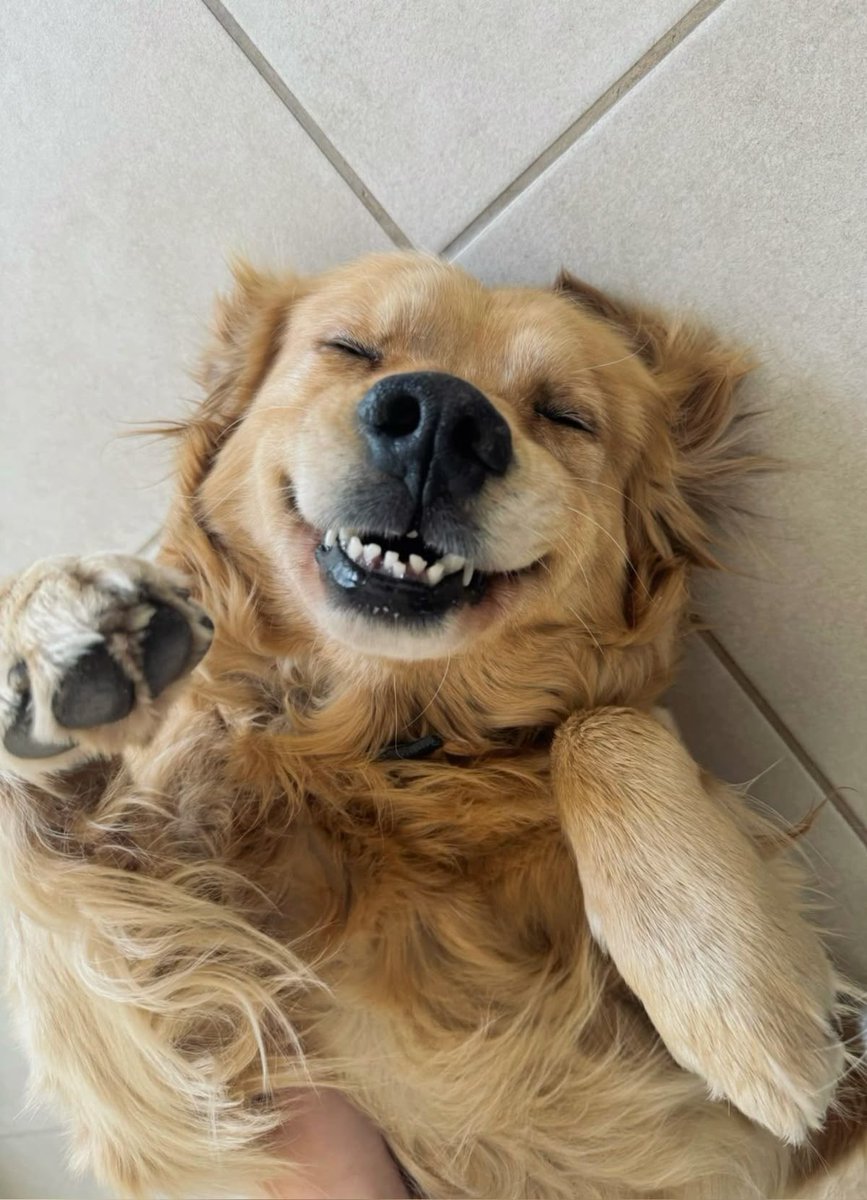 Lady Thompson tweet media