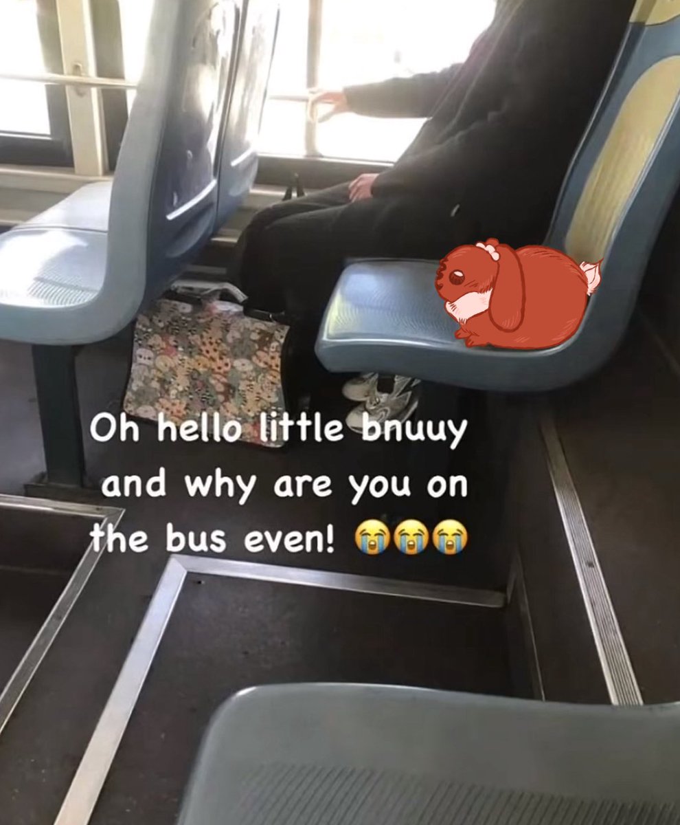 Tiramisu tweet media