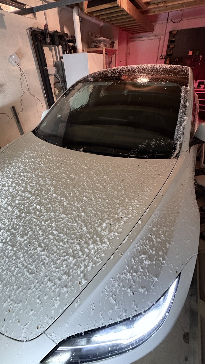 Tim 🛫 tweet media