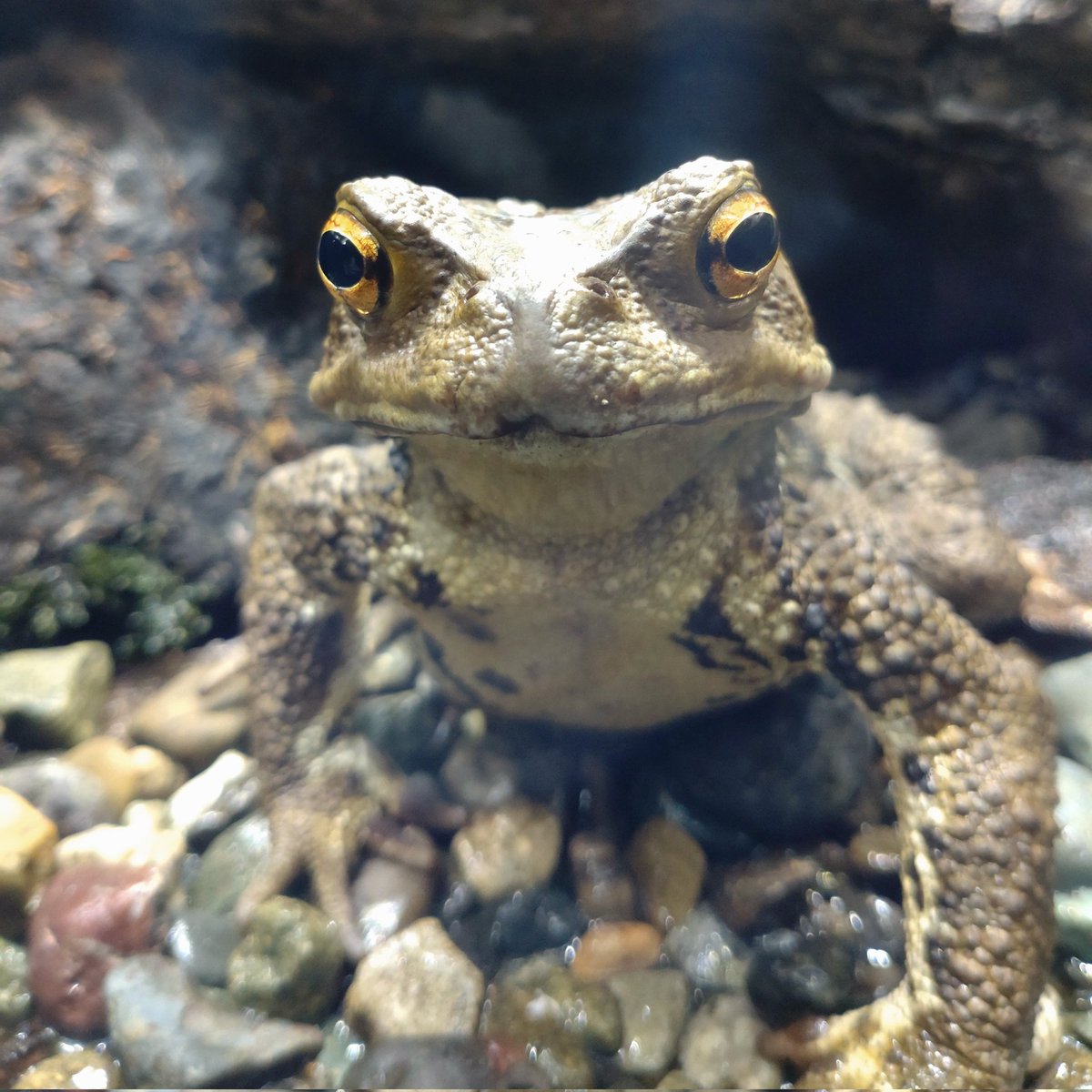 うろこ𓋏𓏐𓆏 tweet media