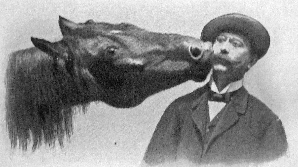 Fascinating True Stories tweet media