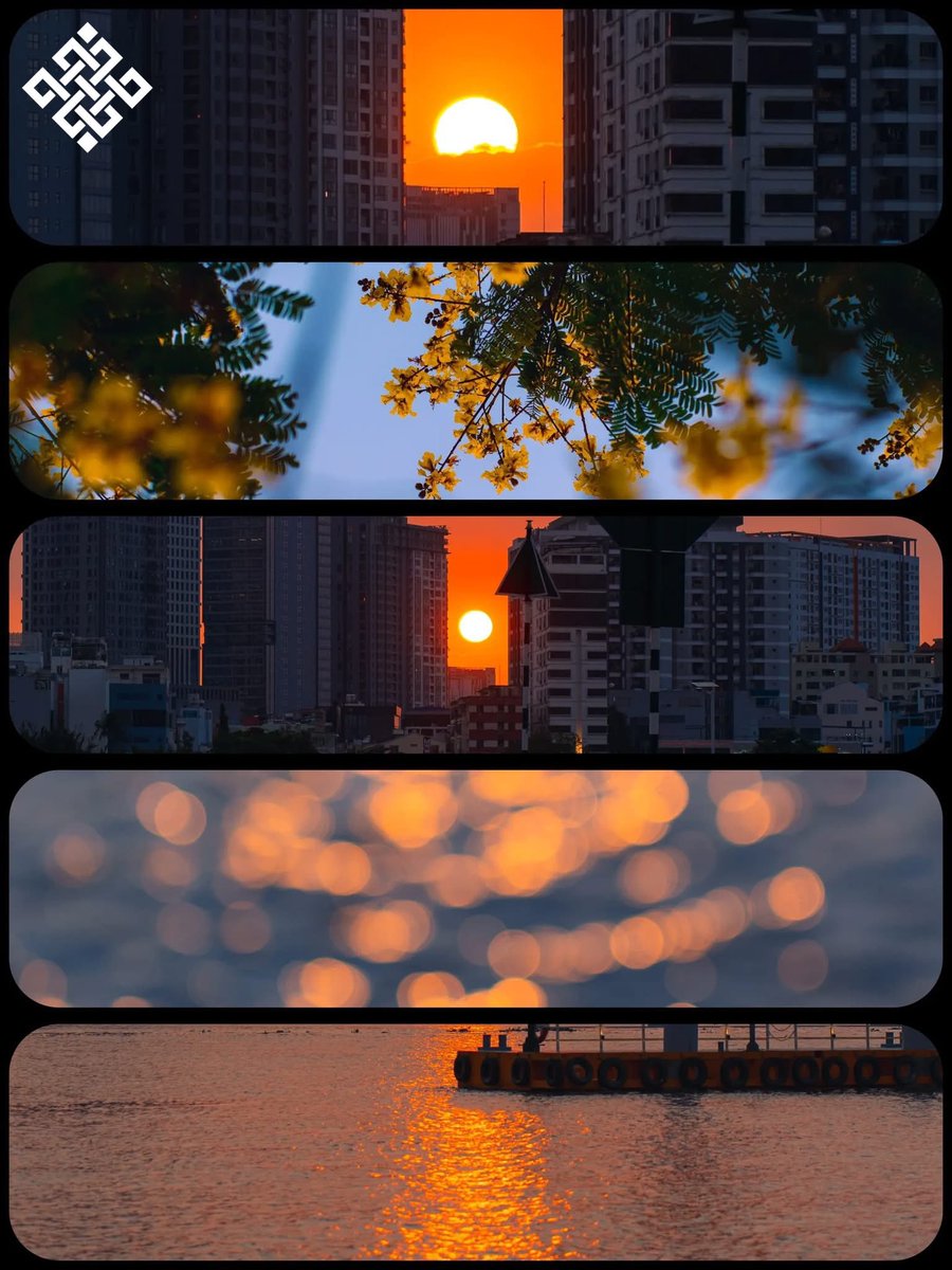 Sonnui(❖,❖) tweet media