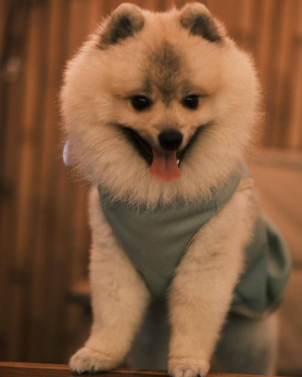 Mario Herrera Flores tweet media