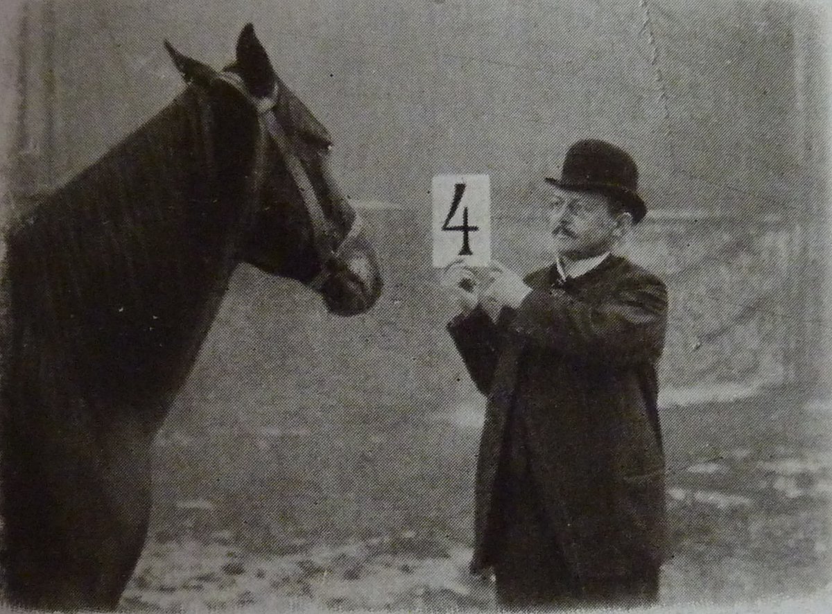 Fascinating True Stories tweet media