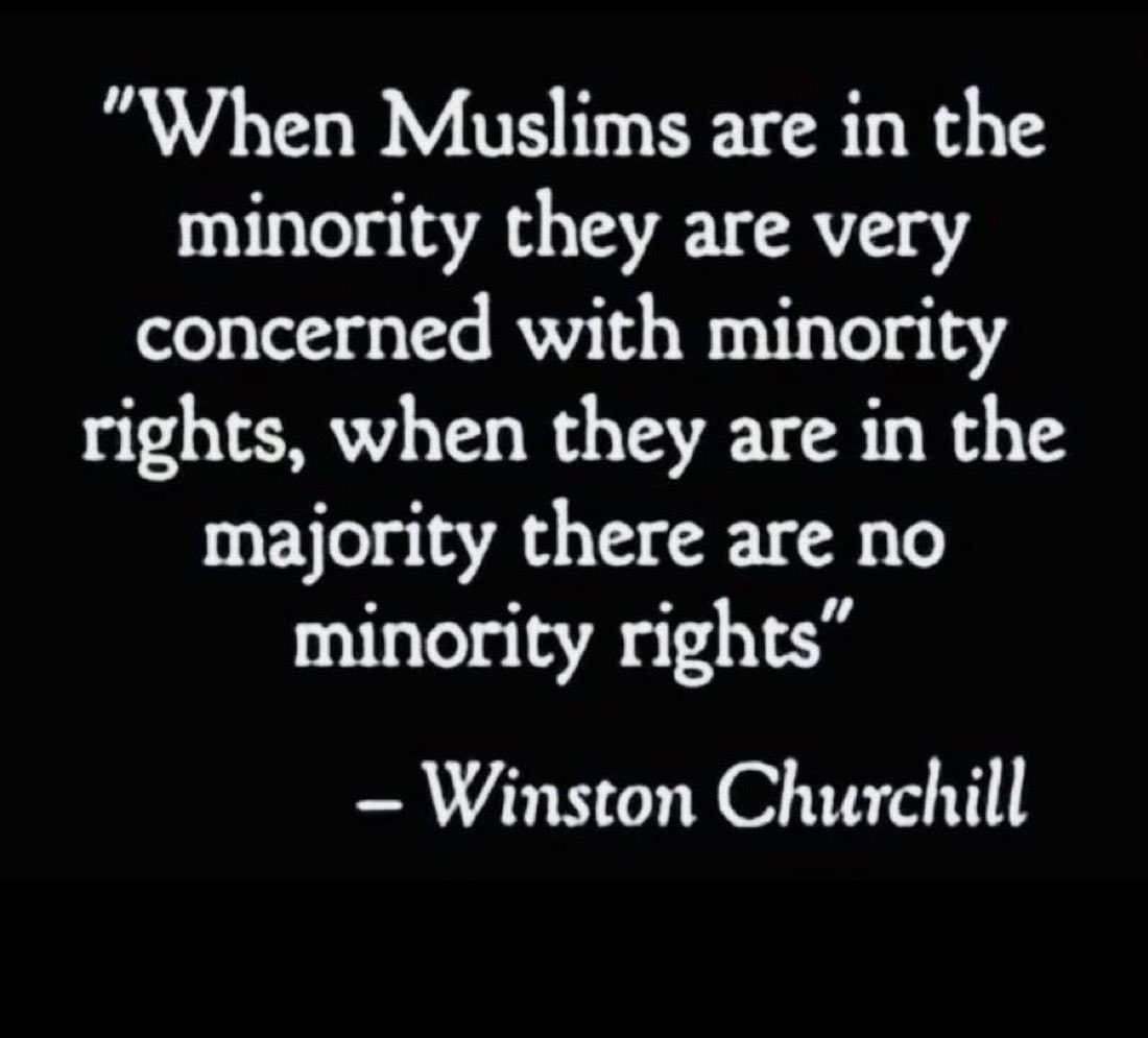 GlobalMirror tweet media