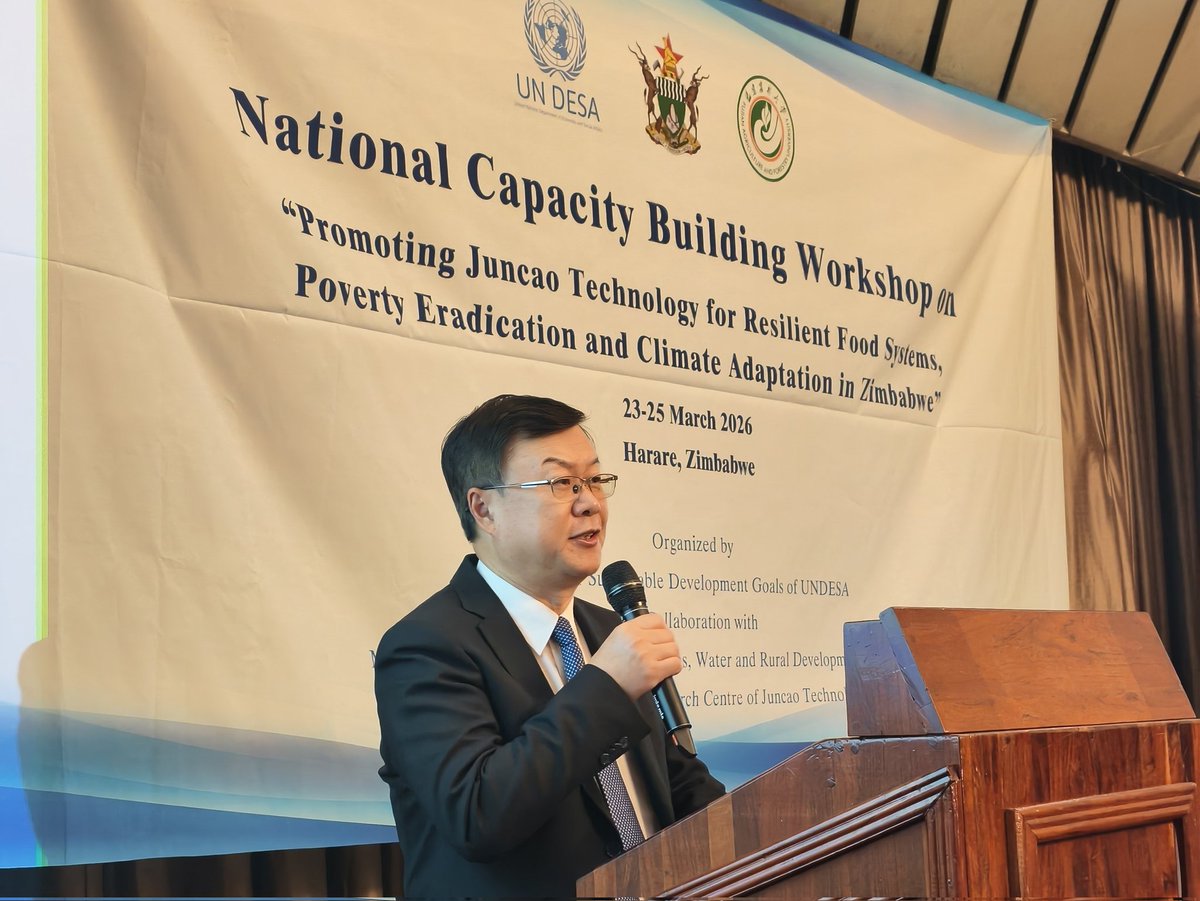 Zhou Ding tweet media