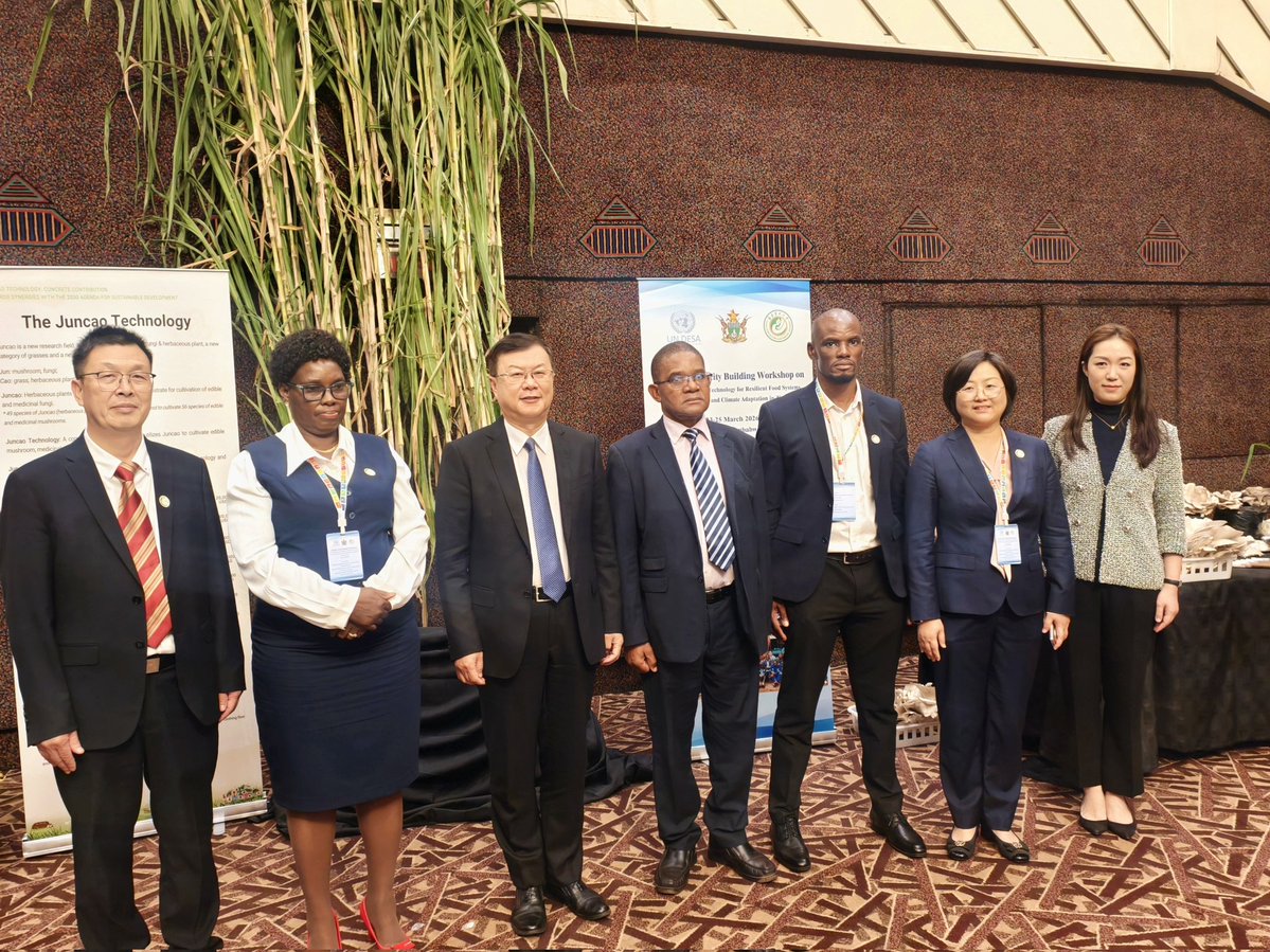 Zhou Ding tweet media