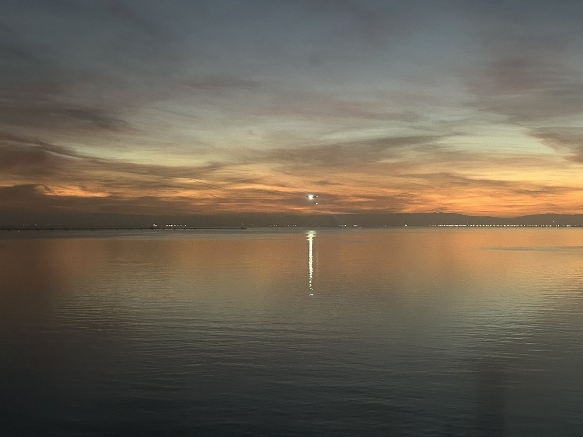 Andy Peoples tweet media