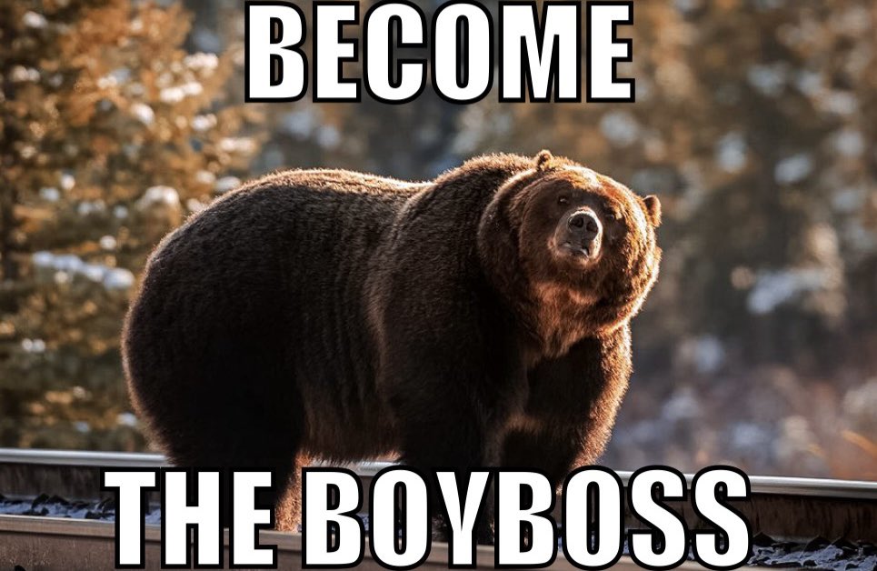 🐻 Bear 🍃 tweet media