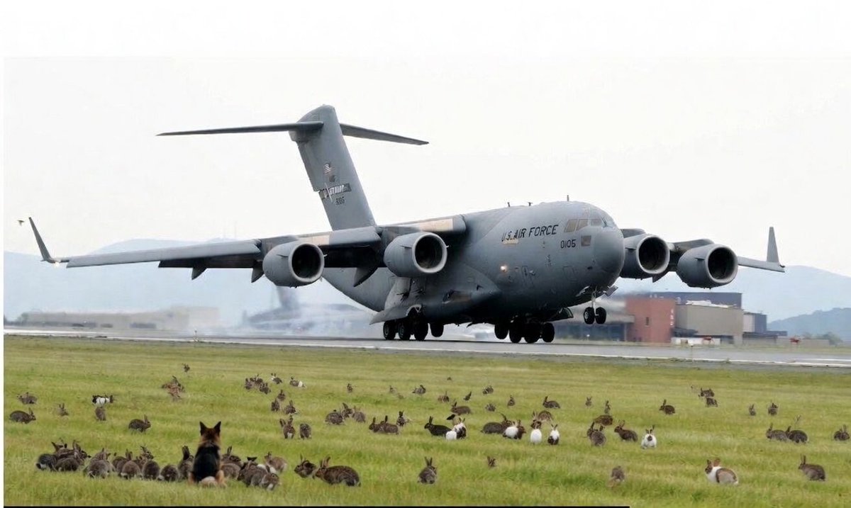 Ste on the sea ⚓️ tweet media