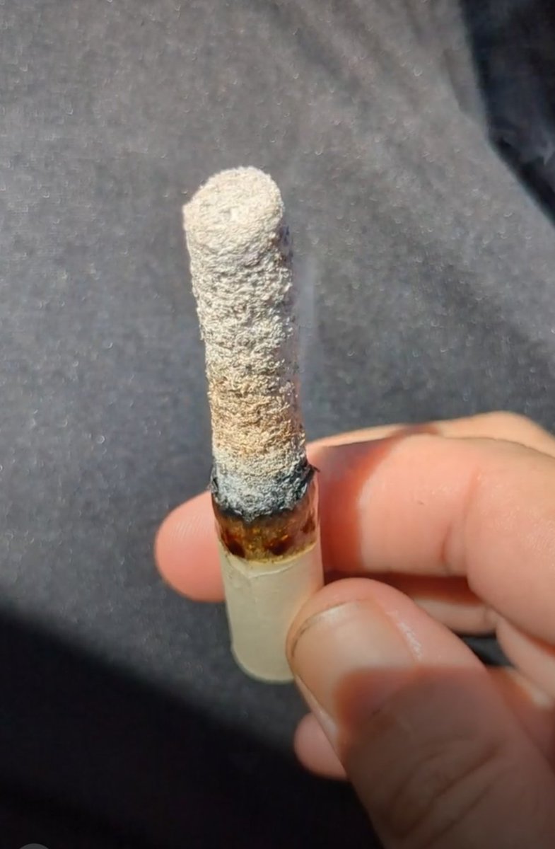 Terps Tester tweet media