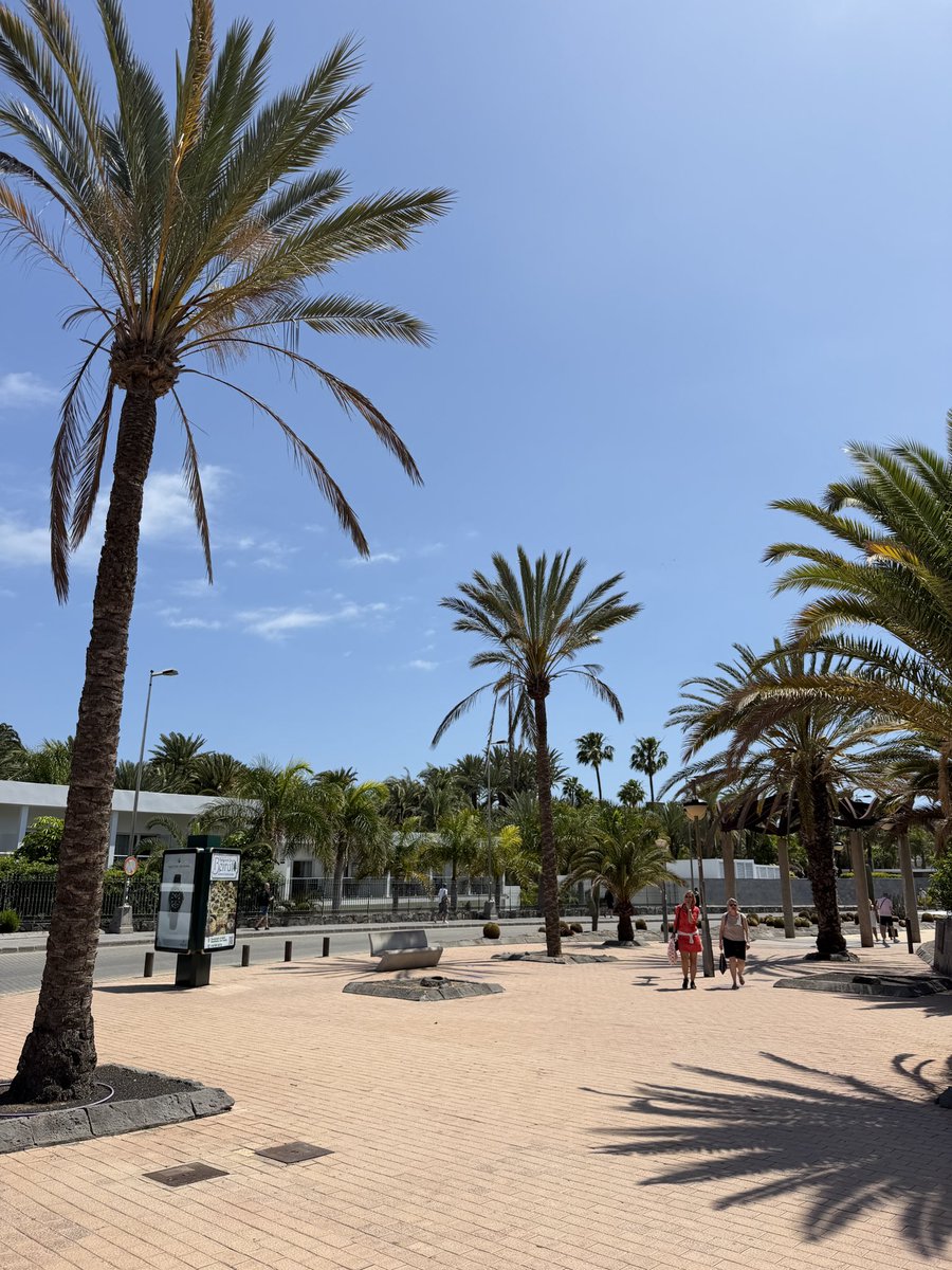 🇮🇨MyCanaryIslands tweet media