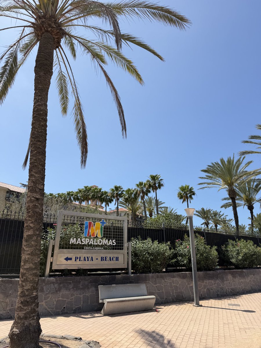 🇮🇨MyCanaryIslands tweet media