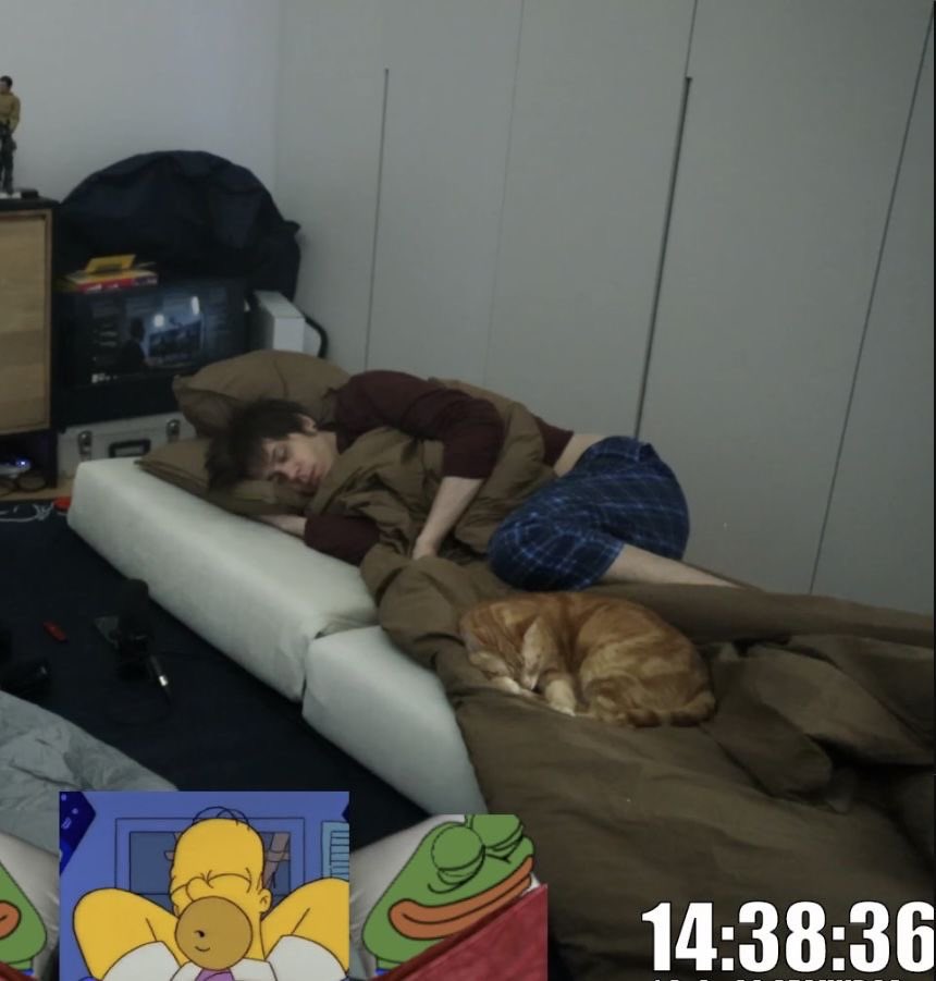 paø emo ⊬ 🌐 tweet media