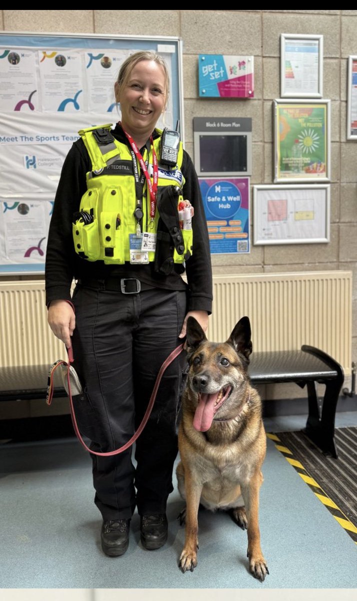 RPD Snap tweet media