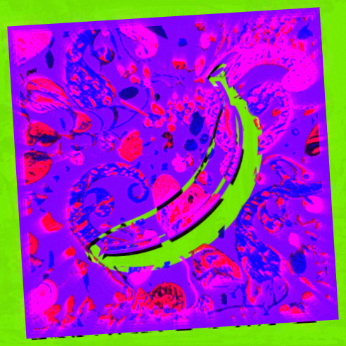 Eka Lestienne🌷 tweet media