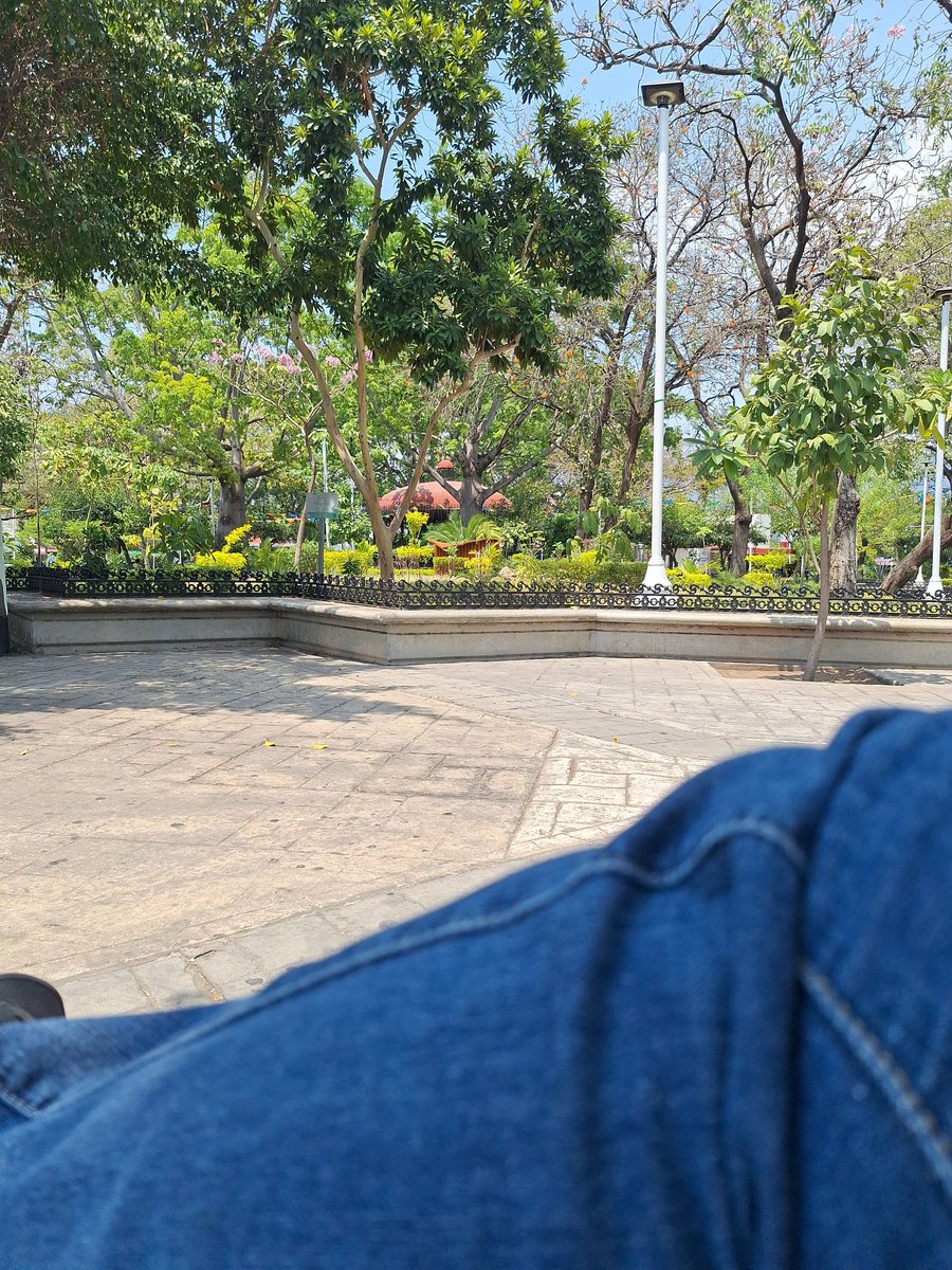 Tony Soplano tweet media