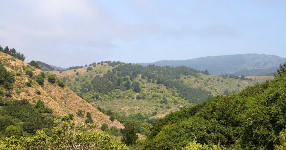 Fire Safe Marin tweet media