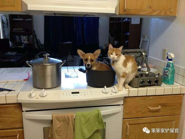 Maxim ABDUALIEV tweet media