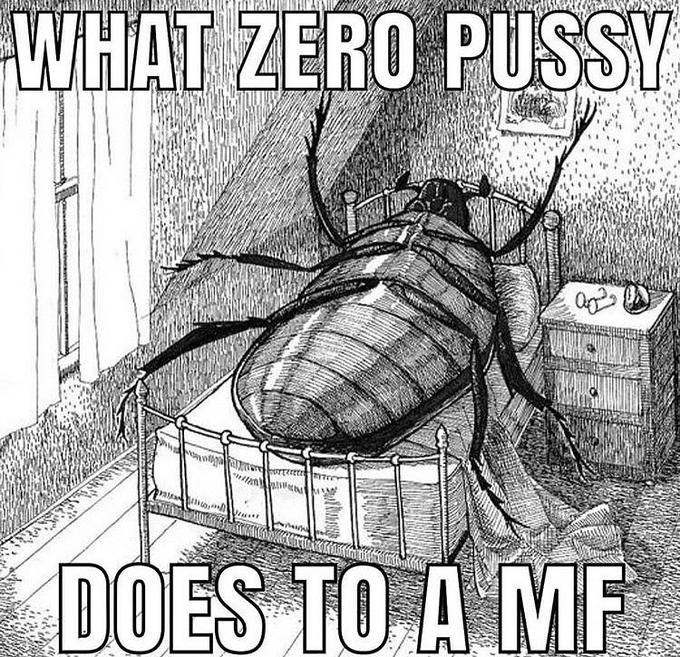 V_Rex ⨁ tweet media