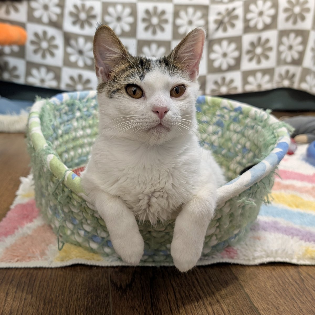 Robyn Anderson tweet media