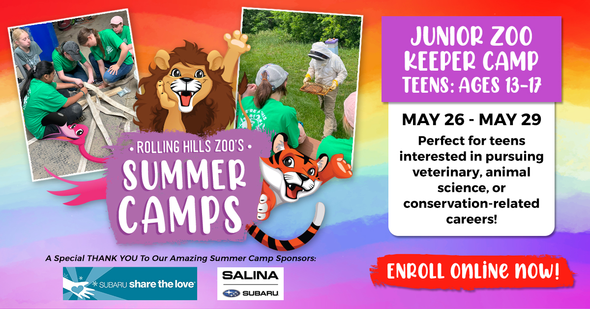 RollingHillsZoo tweet media