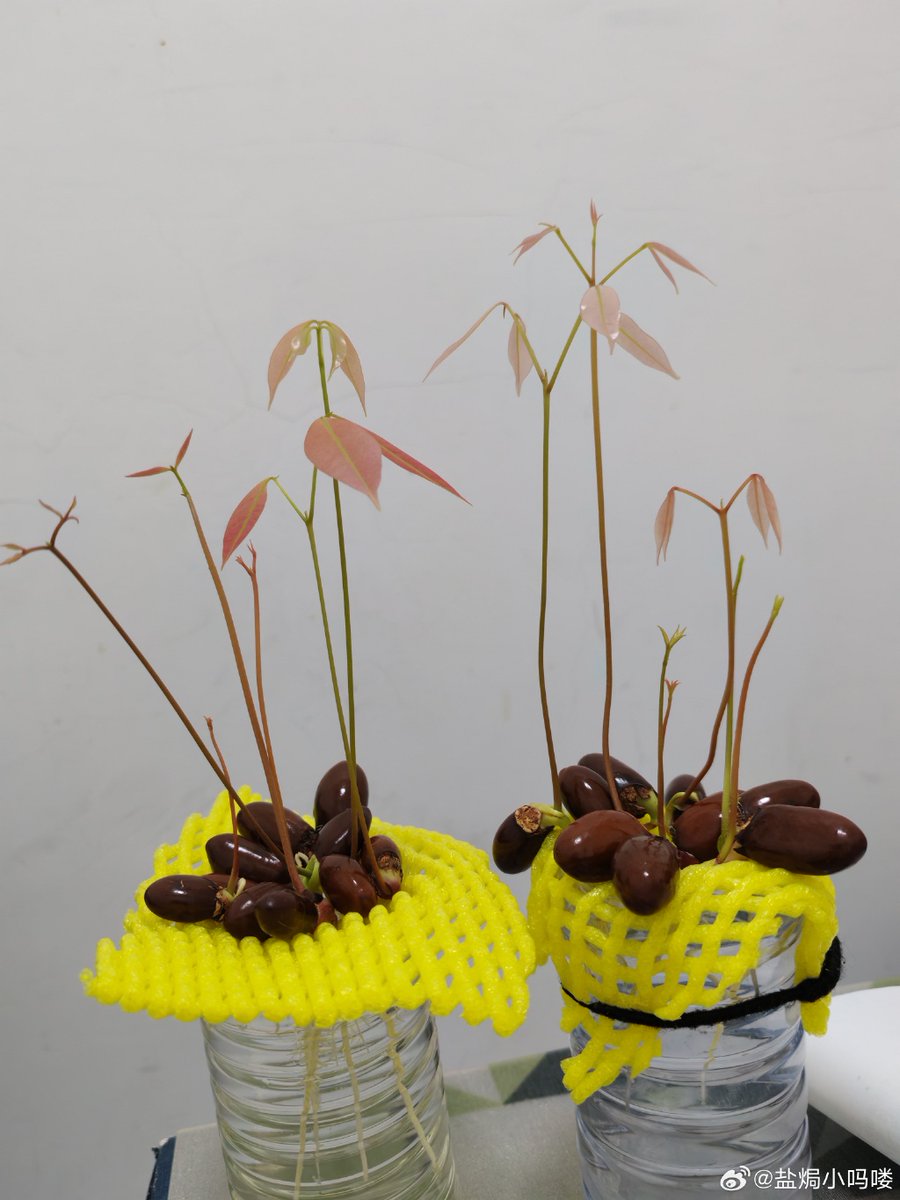 Dilan Hernandez tweet media