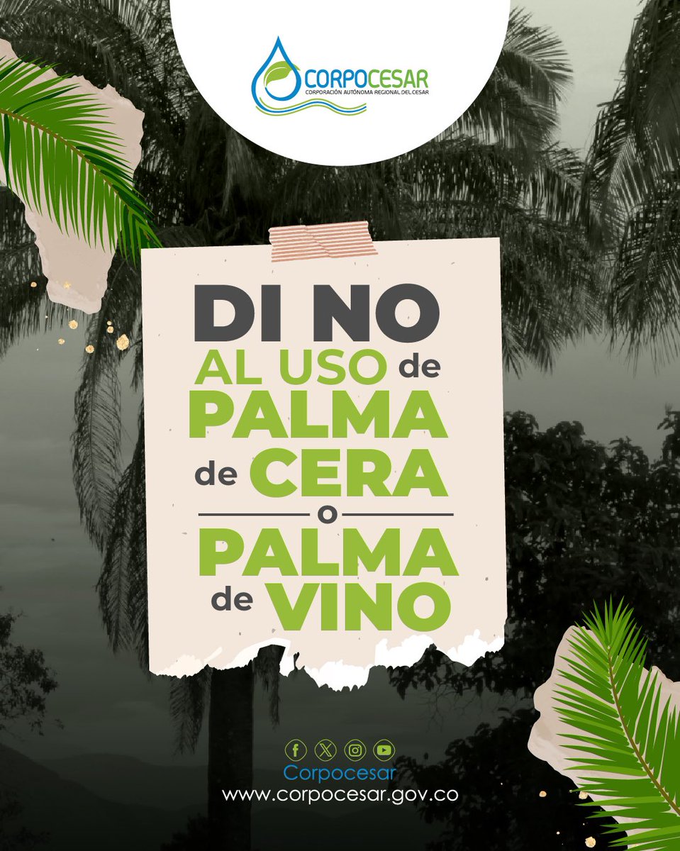 Corpocesar tweet media