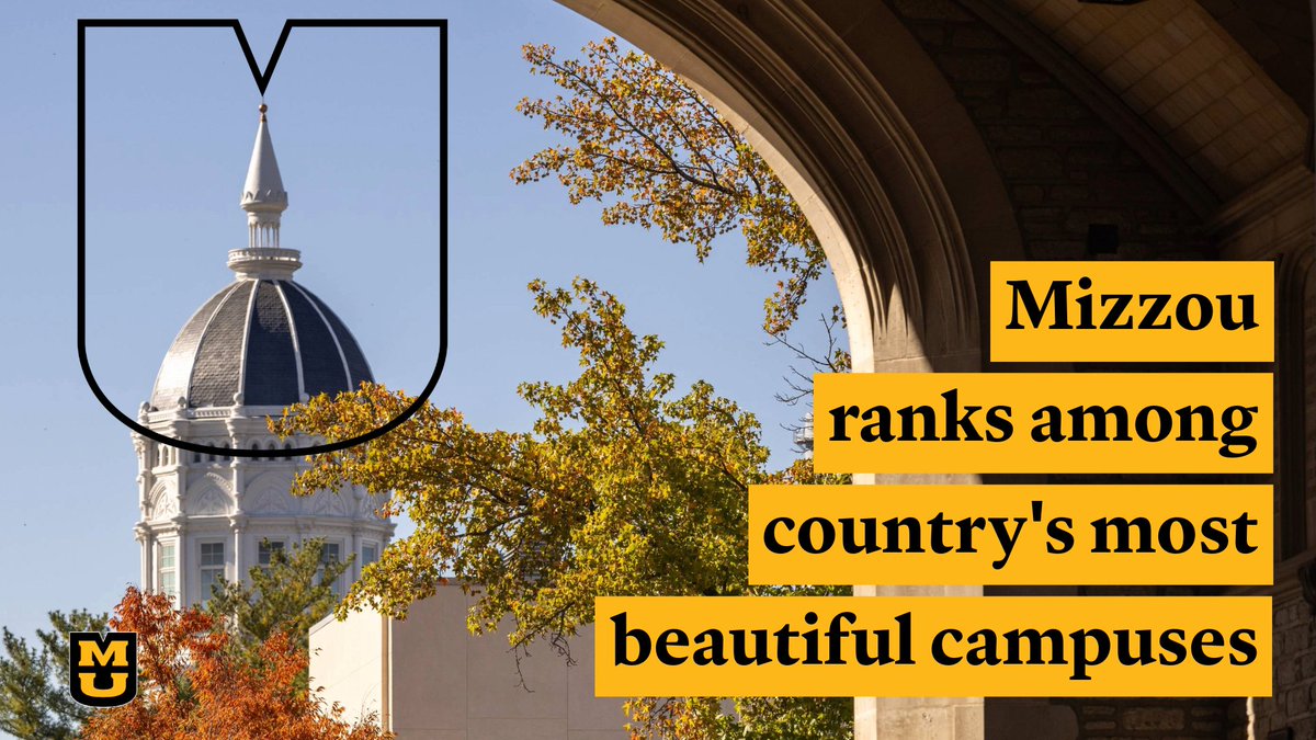 Mizzou tweet media