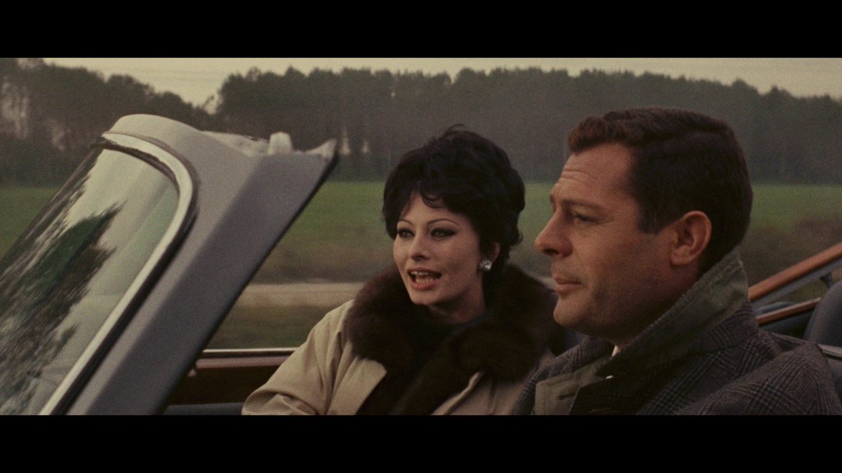 L’hirond’aile tweet media