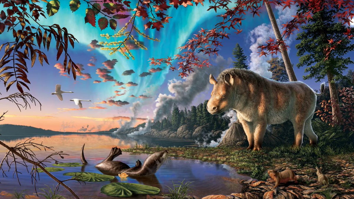 Earth Archives tweet media