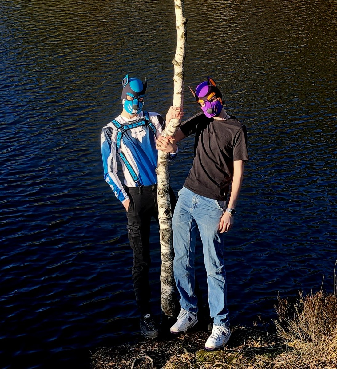 Pup Acer tweet media