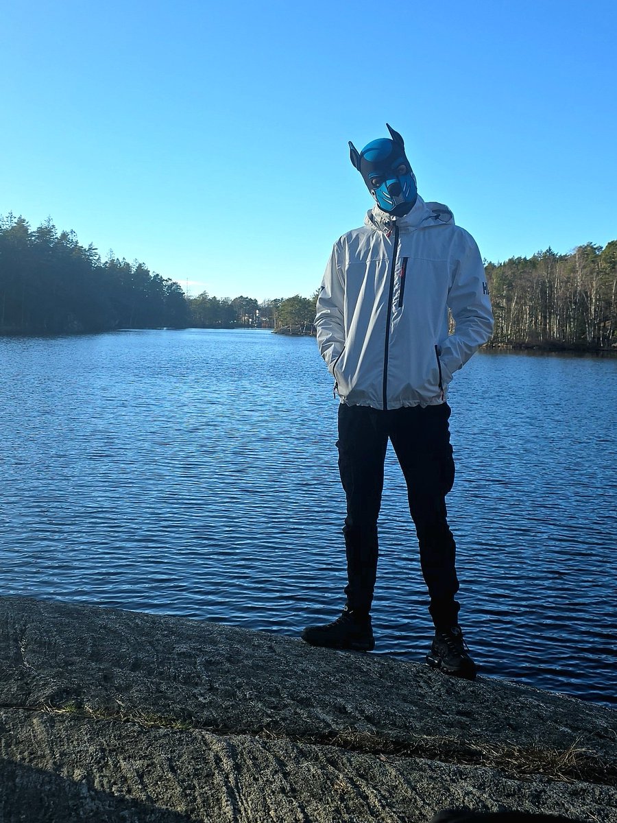 Pup Acer tweet media