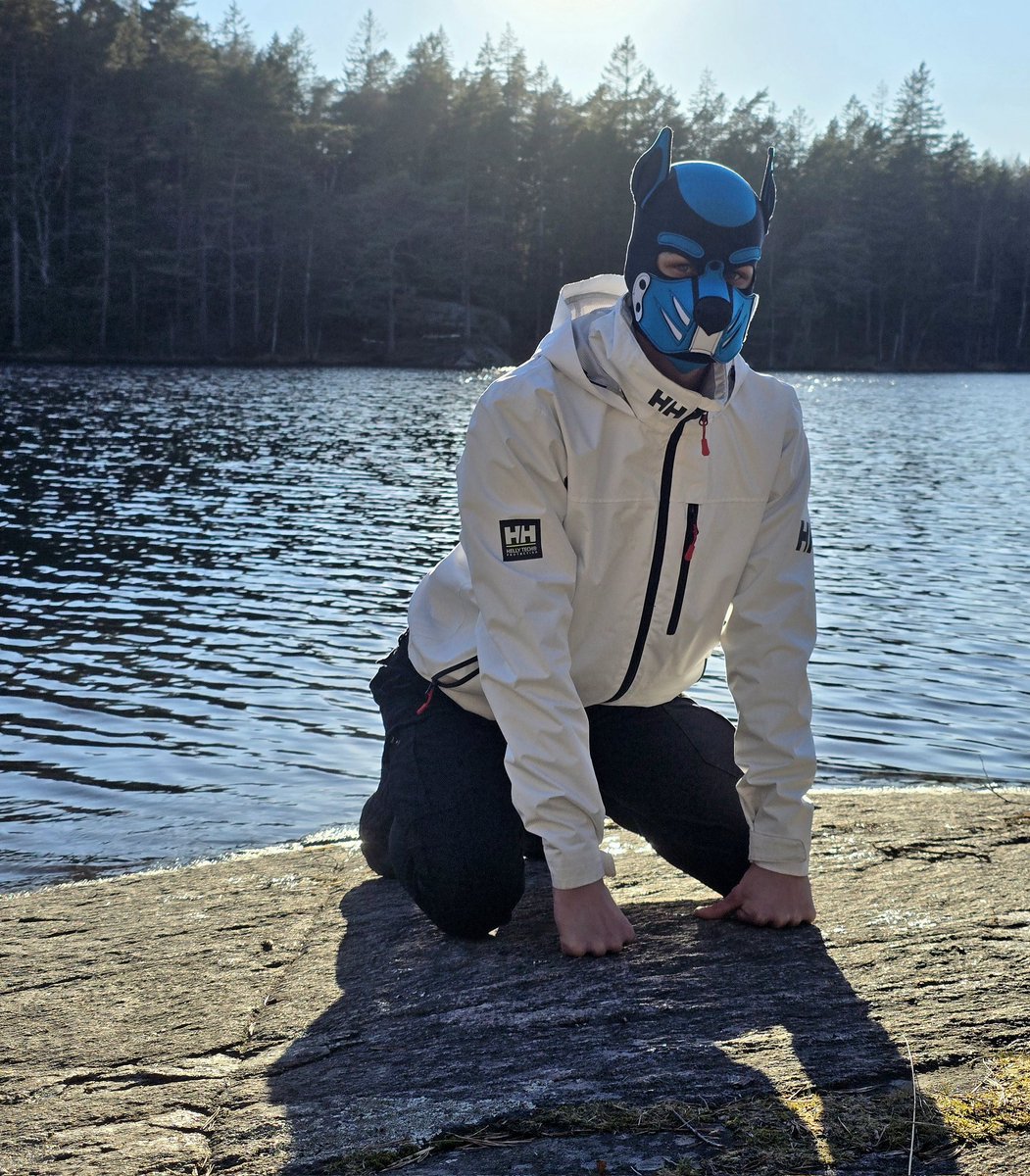 Pup Acer tweet media