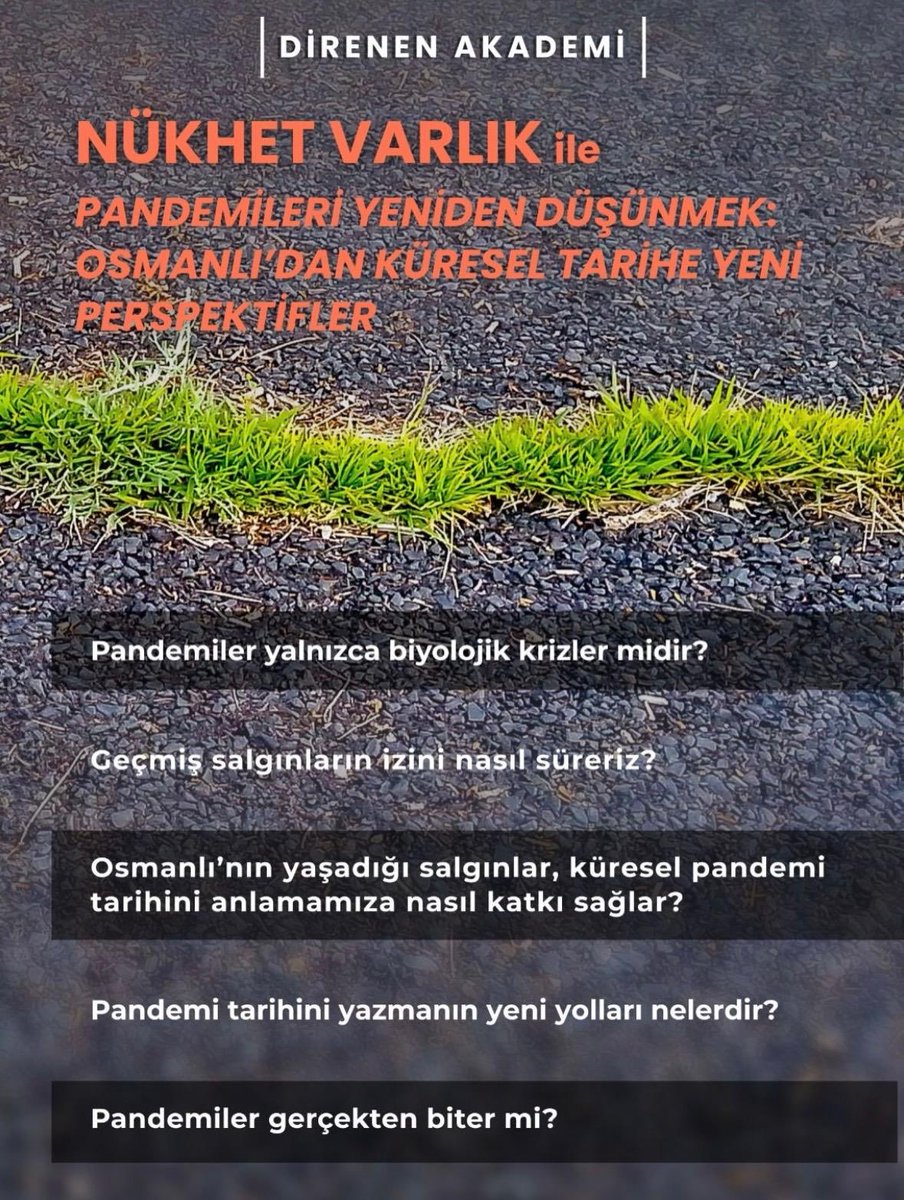 SHIFA-ANA Project tweet media