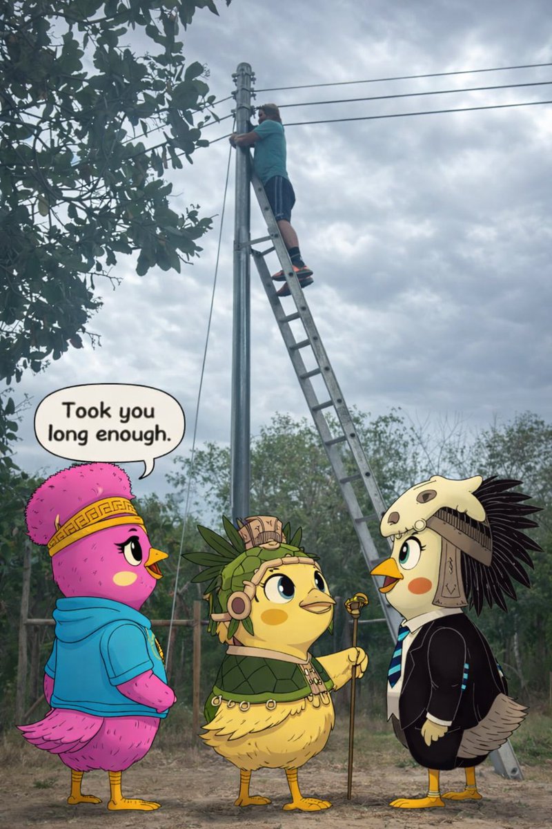 Hen House 🐔 tweet media