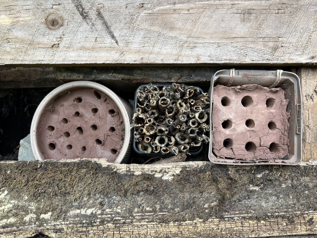 Dr Juliet Turner tweet media