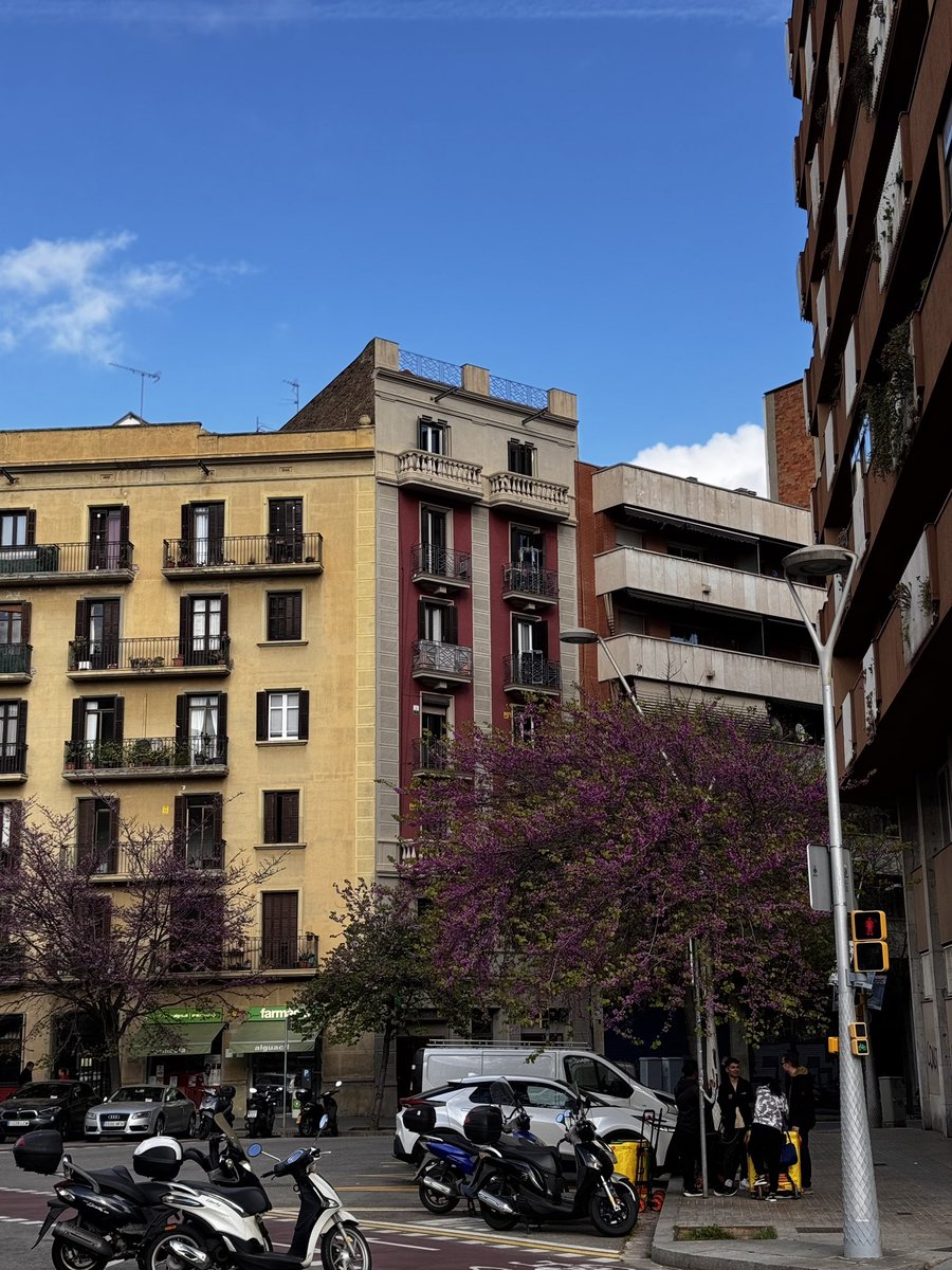 Жаль, что Игорь tweet media