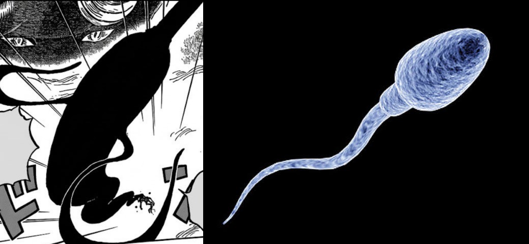 K.A D Luffy 🇩🇿 🇵🇸 tweet media